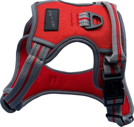 Hem & Boo Sports Harness Small Red
