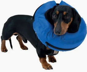 Buster Inflatable Collar Blue Small