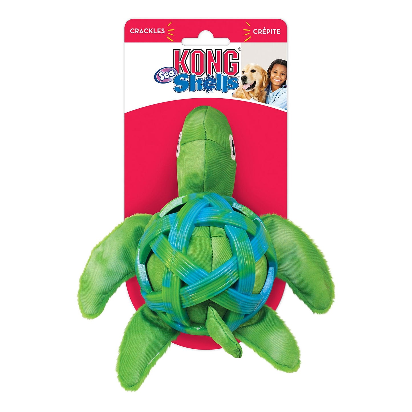 KONG Sea Shells Turtle Medium/Large - Raw To Your Door