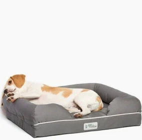 PetFusion Ultimate Solid 2.5 Inch Memory Foam Pet Bed for Small Dogs and Cats Gray