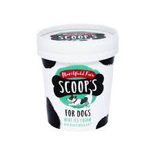 Scoops Mint Ice Cream with joint aid supplement 125ml