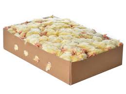 Southcliffe Day Old Chicks Bulk Box 10kg