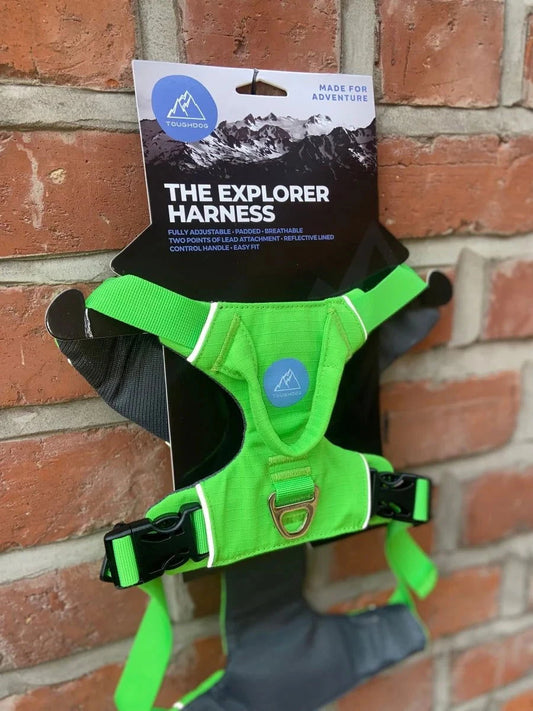 Tough Dog Explorer Harness Green - Raw To Your Door