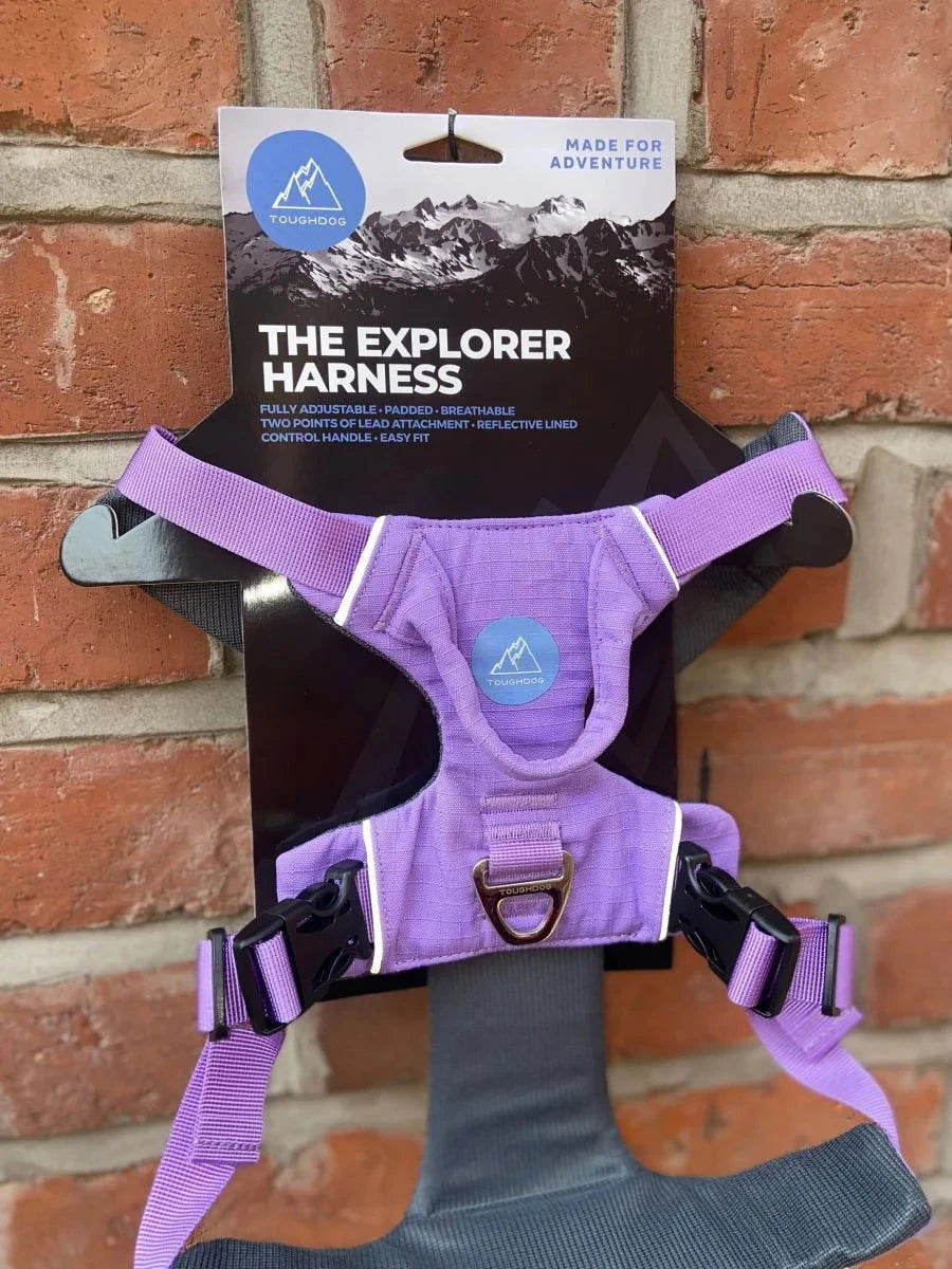 Tough Dog Explorer Harness Purple - Raw To Your Door