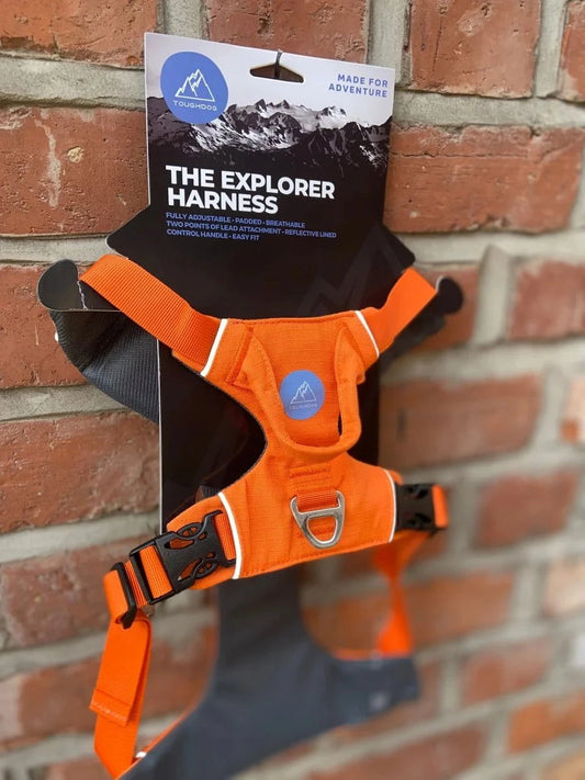 Tough dog Explorer Harness Orange - Raw To Your Door