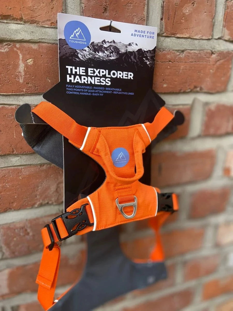 Tough dog Explorer Harness Orange - Raw To Your Door