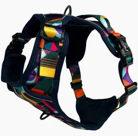 Twiggy Tags Adventure Harness Aurora Siz