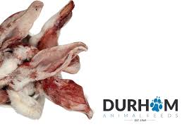 Rabbit ears Frozen 10pcs