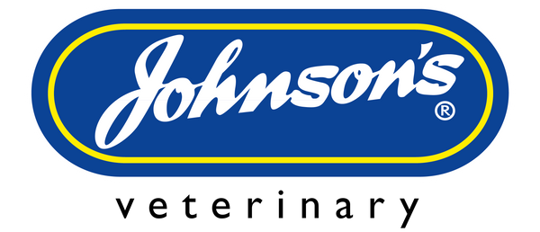 Johnson Shampoo