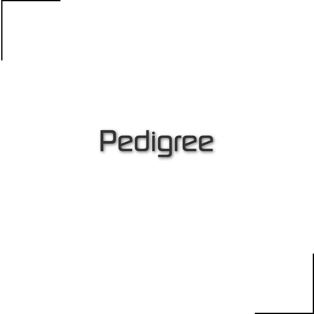 Pedigree - Raw To Your Door