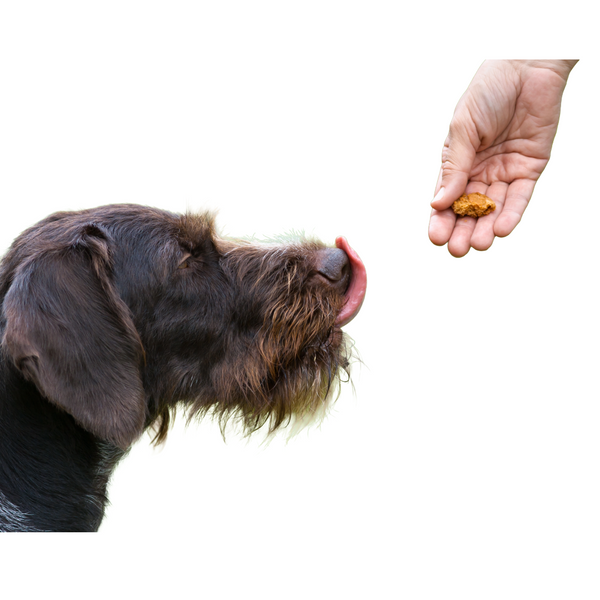 Dog Training Treats