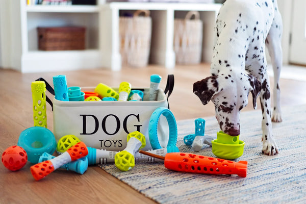 All Dog Toys