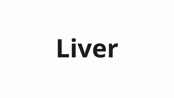 Liver