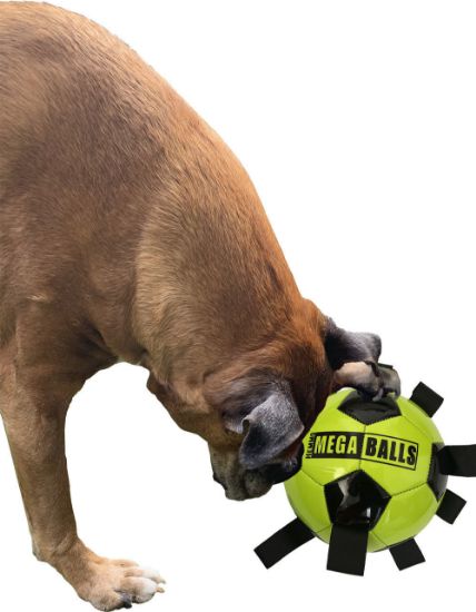 Dog & Co Mega Ball PICK ME UP Football Medium