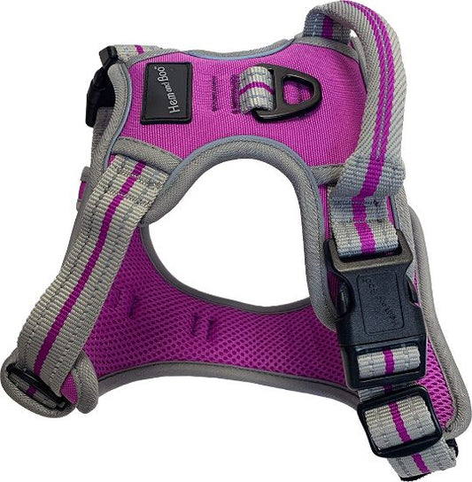 Hem & Boo Sports Harness Small Purple