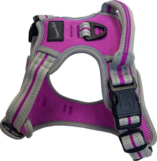 Hem & Boo Sports Harness Large Purple