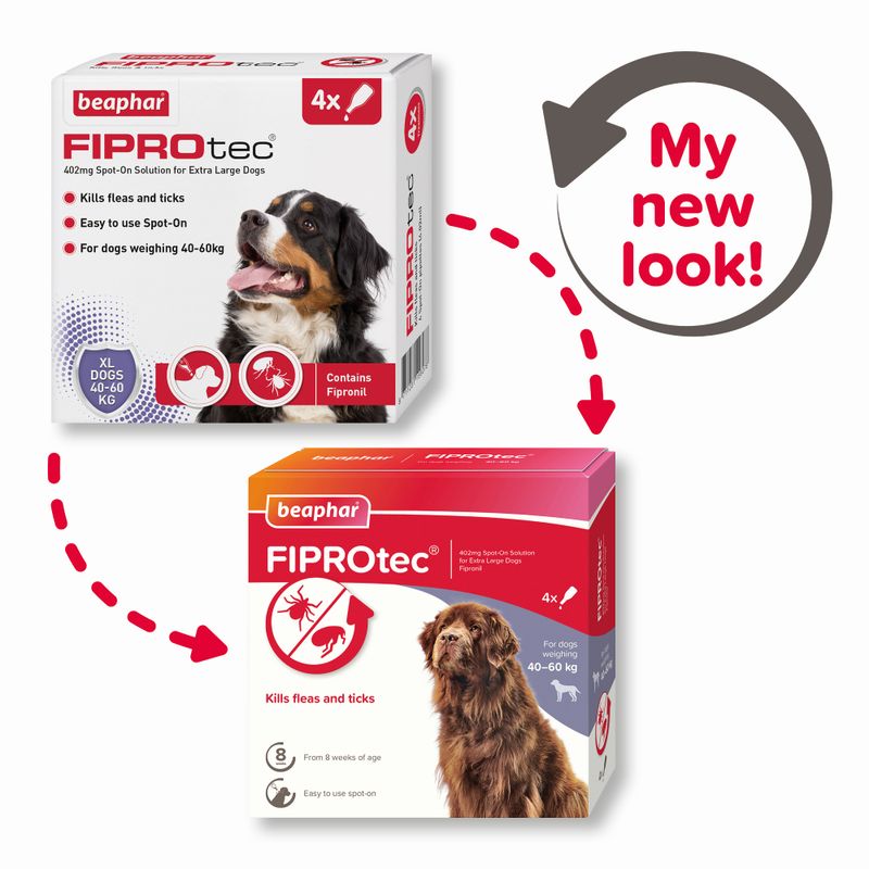 Beaphar FIPROtec 402mg Spoton For XL Dogs 40-60kg