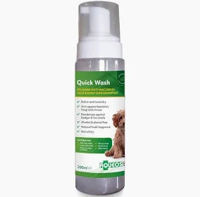 Aqueos Quick Wash Anti-Bacterial No Rinse shampoo