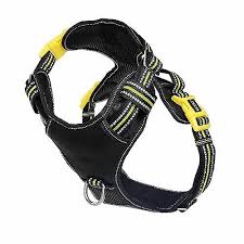 DOOG Neotech Harness (Neon) XL
