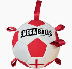 Dog & Co England Pick Me up Football