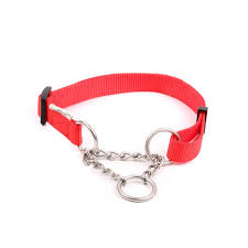 Dog & Co Training Collar Red Large