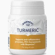 Dorwest Tumeric Tablets 100 Tabs