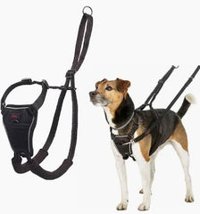 Halti No Pull Harness Small