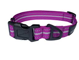 Hem & Boo Sports Collar Purple large