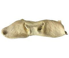 Puffed Cow Snout