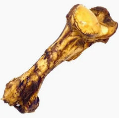 Whole Jurassic Bone