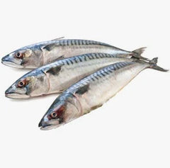 Whole Mackerel 1kg