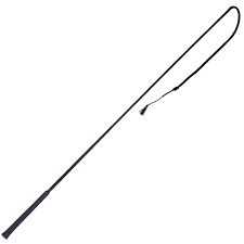 Flirt Pole