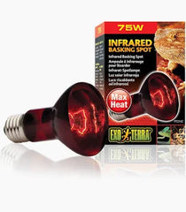 Heat Lamp Bulb 75w